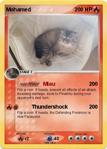 Pokemon Mohamed