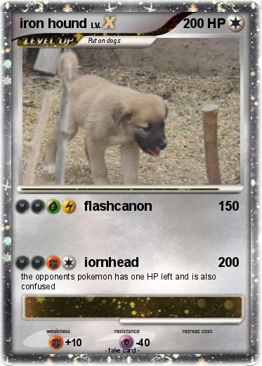 Pokemon iron hound
