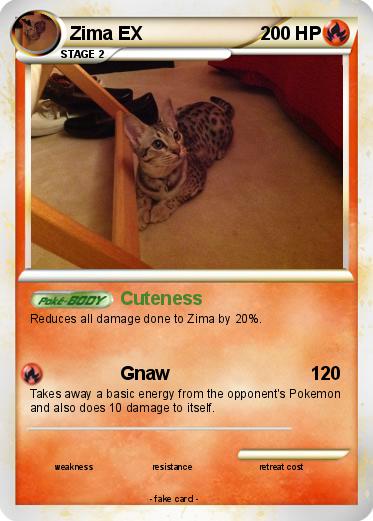Pokemon Zima EX