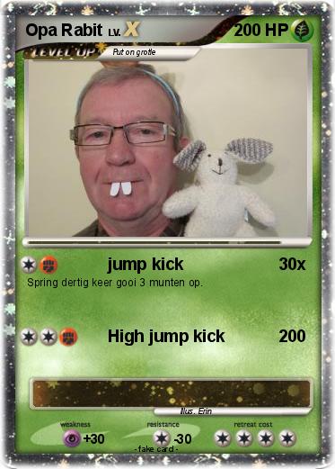 Pokemon Opa Rabit
