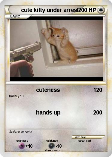 Pokemon cute kitty under arrest