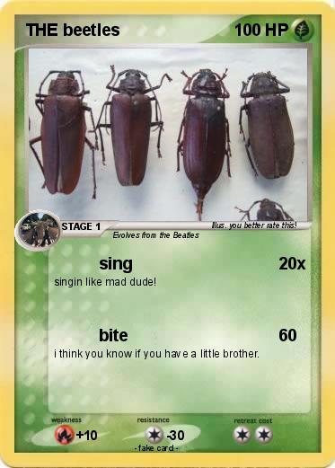 Pokemon THE beetles
