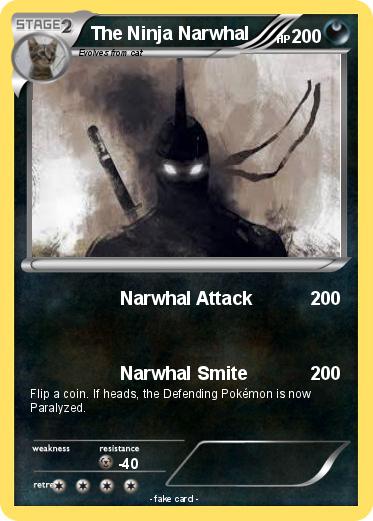 Pokemon The Ninja Narwhal