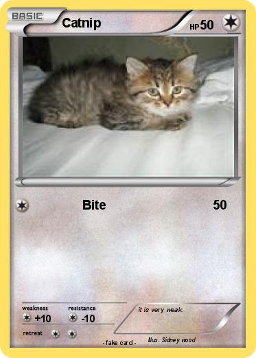 Pokemon Catnip