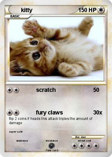 Pokemon kitty