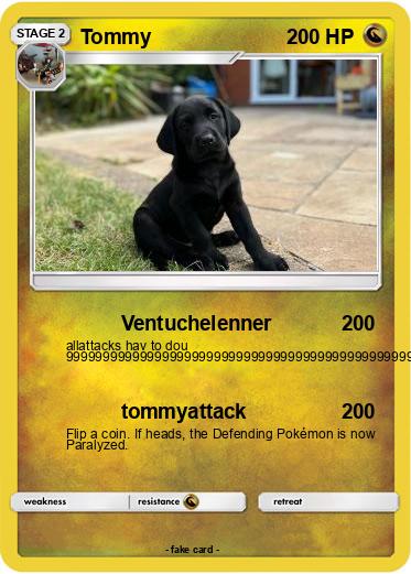 Pokemon Tommy