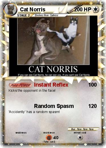 Pokemon Cat Norris