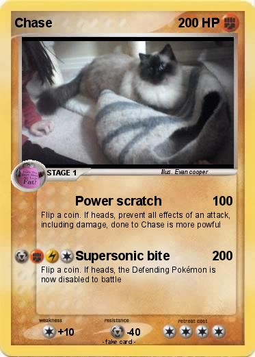 Pokemon Chase