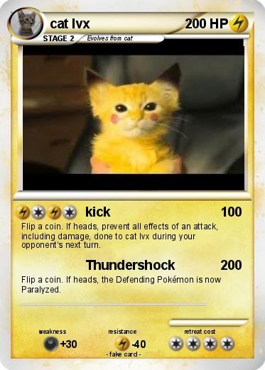Pokemon cat lvx