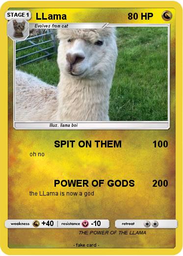 Pokemon LLama