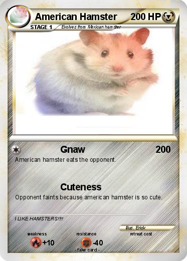Pokemon American Hamster