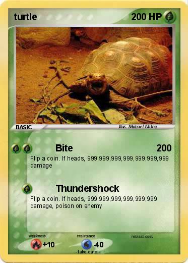 Pokemon turtle