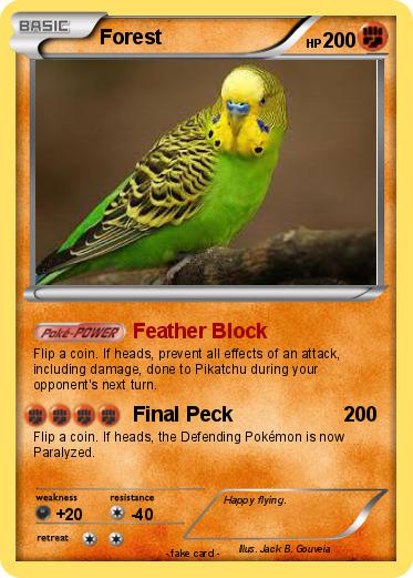 Pokemon Forest