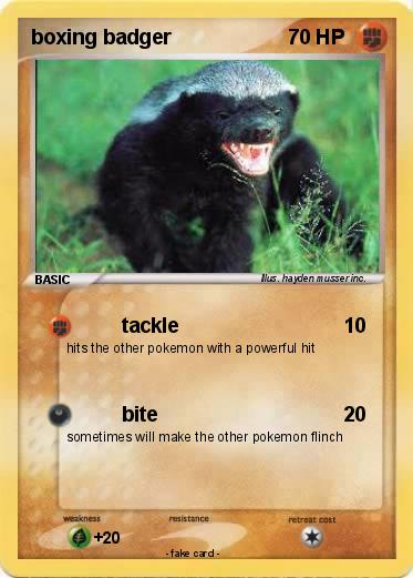 Pokemon boxing badger