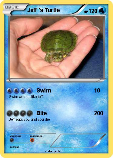 Pokemon Jeff 's Turtle