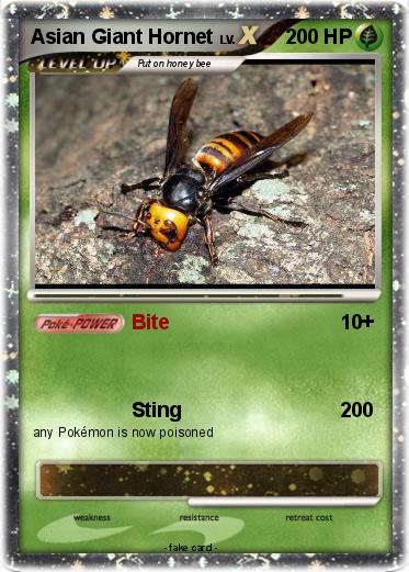 Pokemon Asian Giant Hornet