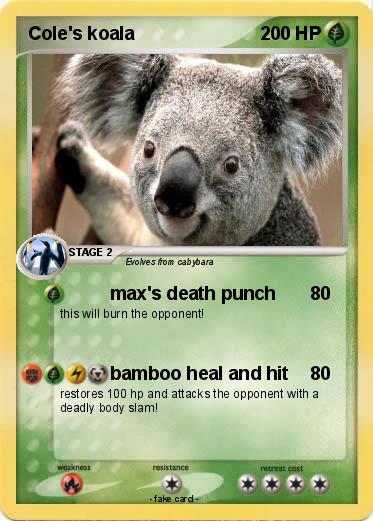 Pokemon Cole's koala