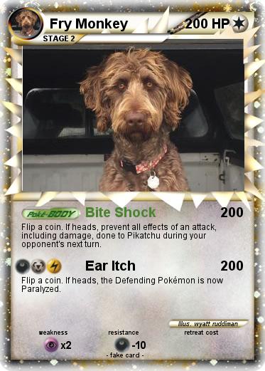 Pokemon Fry Monkey