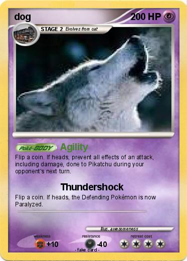 Pokemon dog