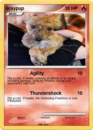 Pokemon Graypup