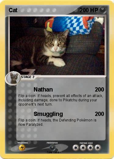Pokemon Cat