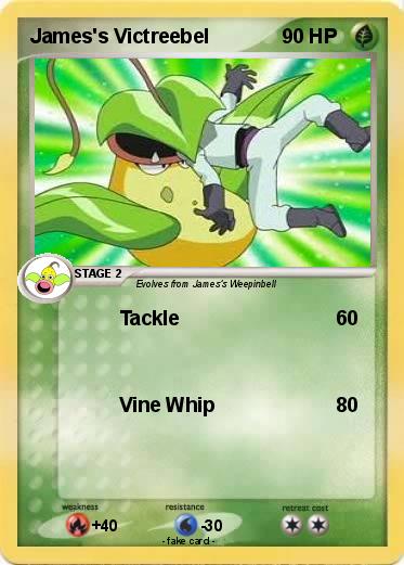 Pokemon James's Victreebel