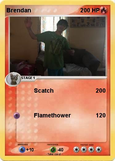 Pokemon Brendan