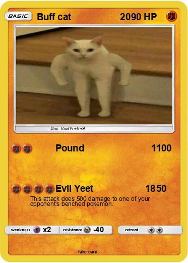 Pokemon Buff cat                   20