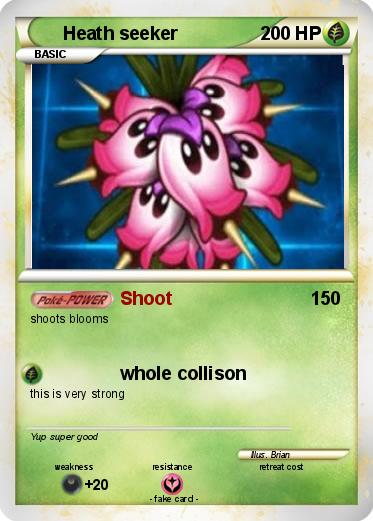 Pokemon Heath seeker