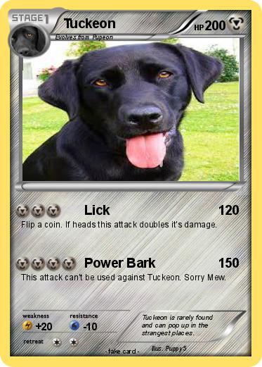Pokemon Tuckeon