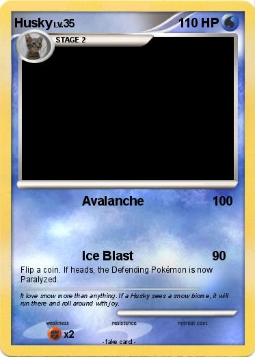 Pokemon Husky