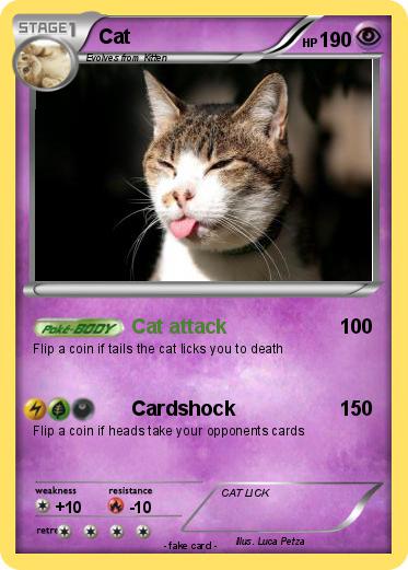 Pokemon Cat