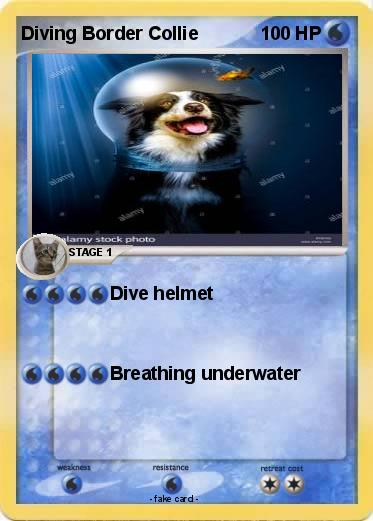 Pokemon Diving Border Collie