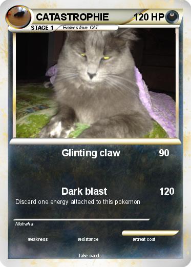 Pokemon CATASTROPHIE