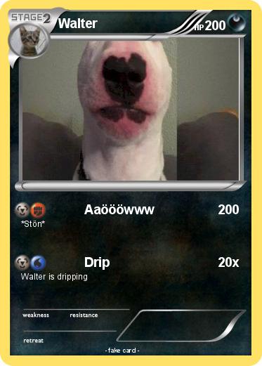 Pokemon Walter