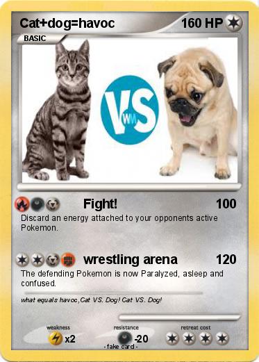 Pokemon Cat+dog=havoc
