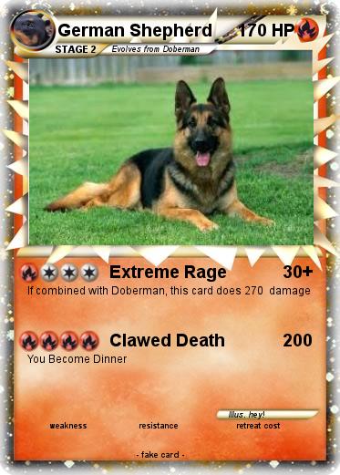 Pokemon German Shepherd