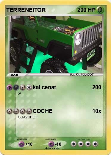 Pokemon TERRENEITOR