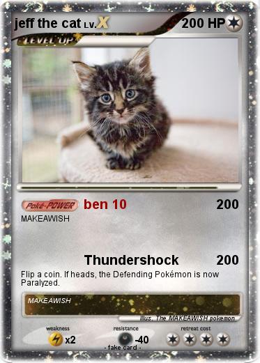 Pokemon jeff the cat