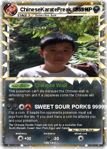 Pokemon ChineseKarateFreak 999999