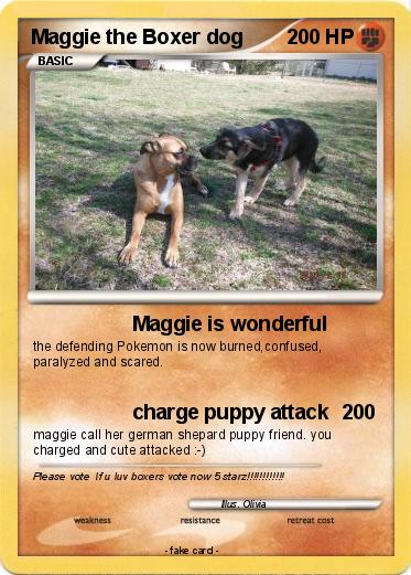Pokemon Maggie the Boxer dog