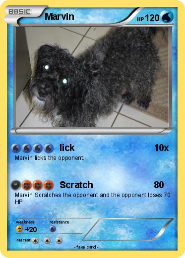 Pokemon Marvin