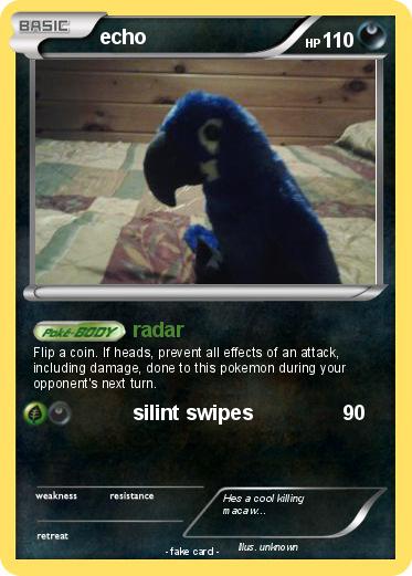 Pokemon echo