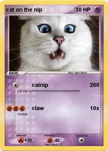Pokemon cat on the nip