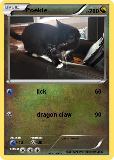 Pokemon Poekie