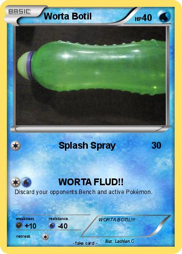 Pokemon Worta Botil
