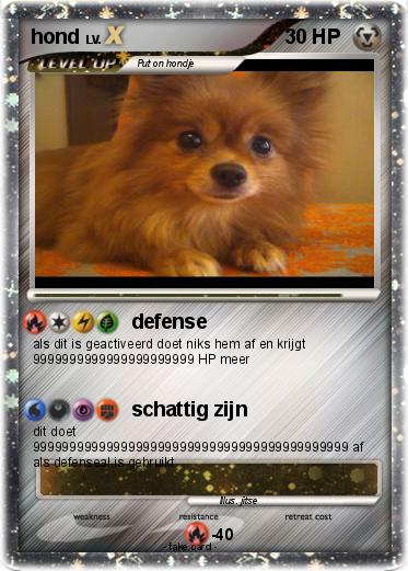 Pokemon hond
