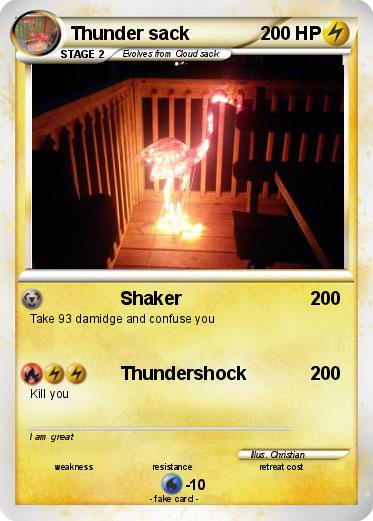 Pokemon Thunder sack