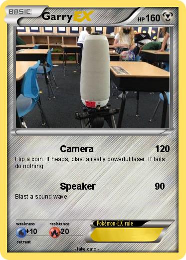 Pokemon Garry