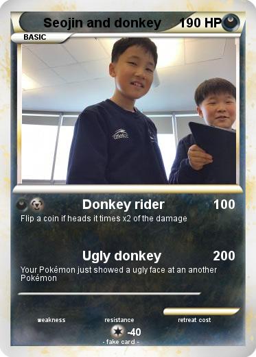 Pokemon Seojin and donkey